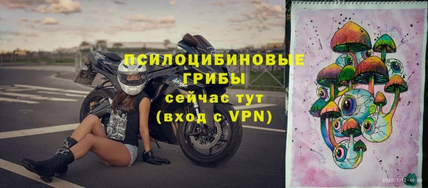 mdpv Верея