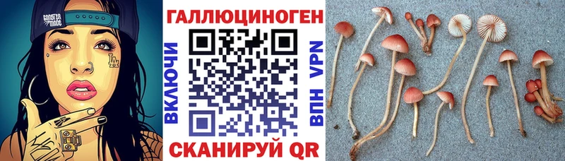 ссылка на мегу ссылки  Красавино  Галлюциногенные грибы Magic Shrooms 